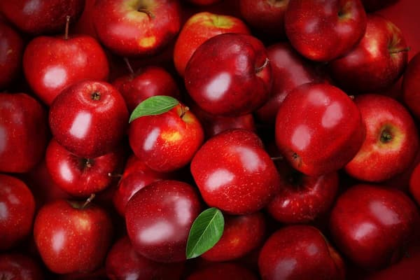 تصویر 2 از سیب قرمز لبویی ارومیه درجه یک و ارگانیک